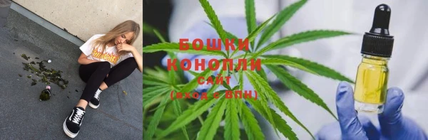MESCALINE Бородино