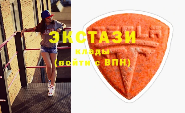 шишки Богородицк