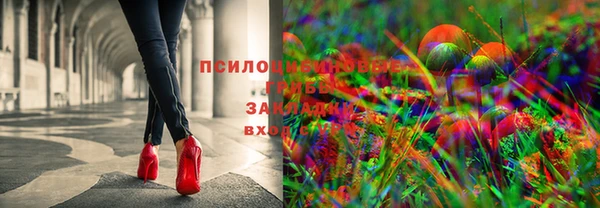 PSILOCYBIN Богородск