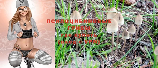 шишки Богородицк