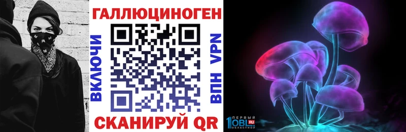 Псилоцибиновые грибы Psilocybe  Менделеевск 